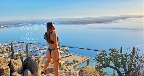 paloma de espadas free star top photo