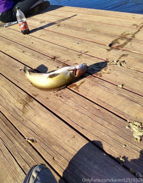 alreadywet69 star adult photo