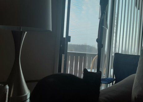 pink kunt erotic pornstar pictures