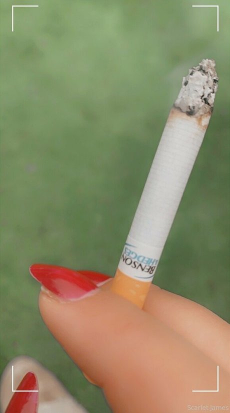 scarletjames301 model nude picture