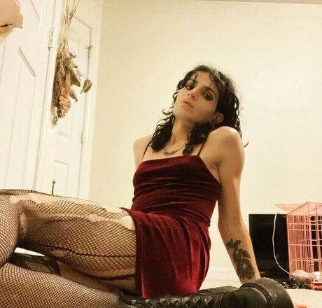 Hillbillygothic star perfect images