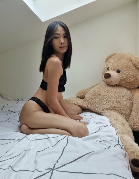 sodyna star galleries