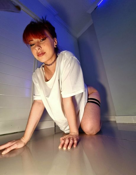 alyssa winter pornstar best gallery