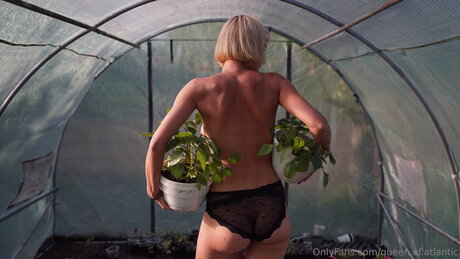 queen of atlantic adult model archive