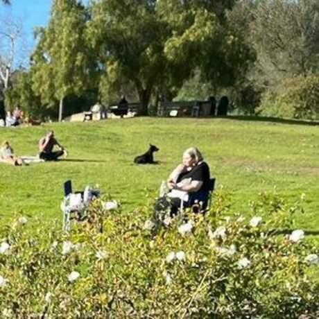 hairy vagina onlyfans nudes galleries