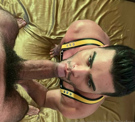 dogao belgafree pornstar xxx picture