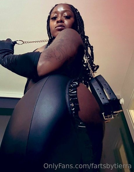 fartsbytierra star art galleries