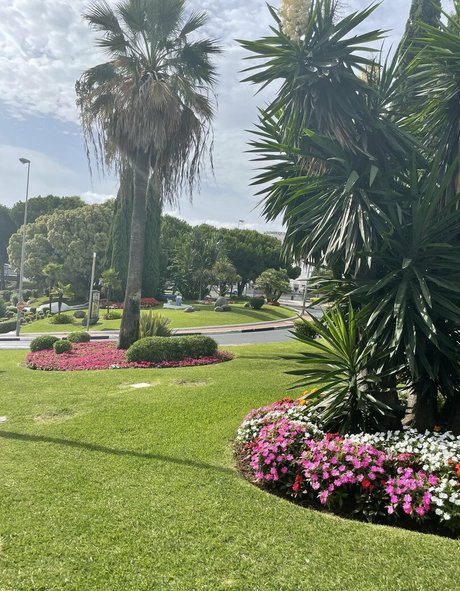 freefrost adult actress img