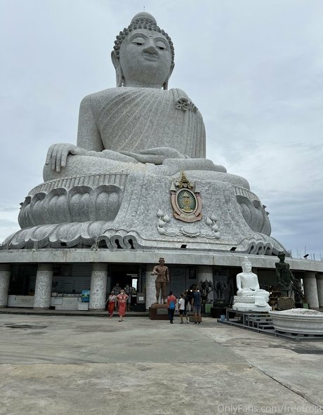 body onlyfans top pics