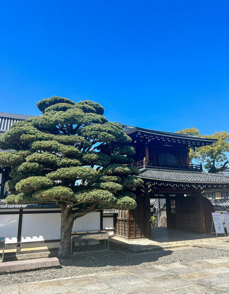 guy onlyfans best photo