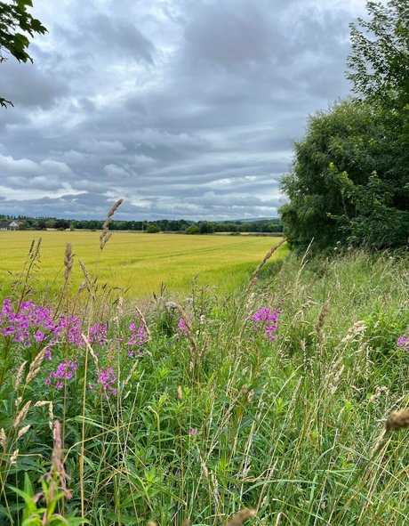 freefrost naked model gallery