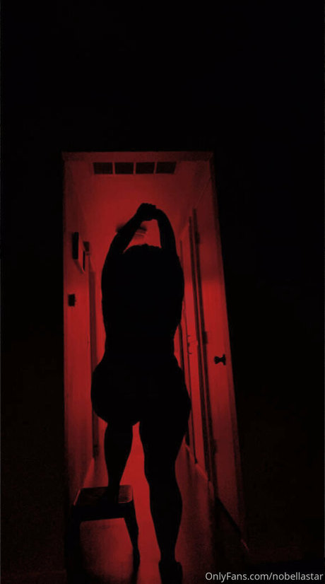 nobellastar pornstar art picture