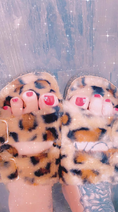 nobellastar model nice images