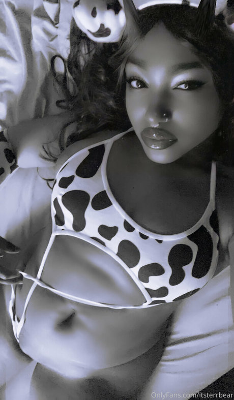 itsterrbear art star gallery