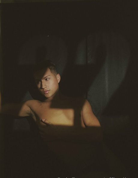 officailarq star xxx image