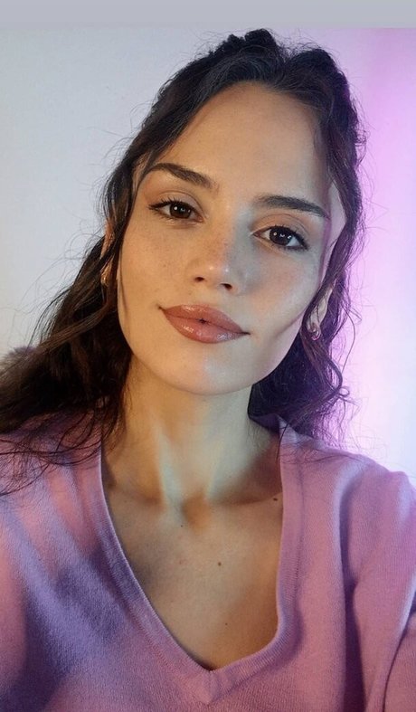 Arlequin ASMR art star galleries