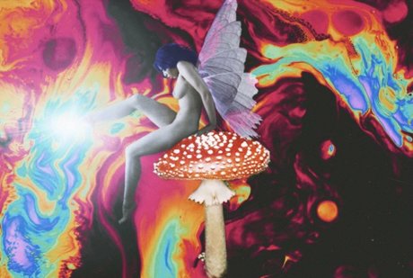 lolaqueencobra model best gallery