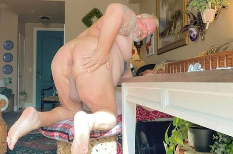 bearsorlando star perfect images