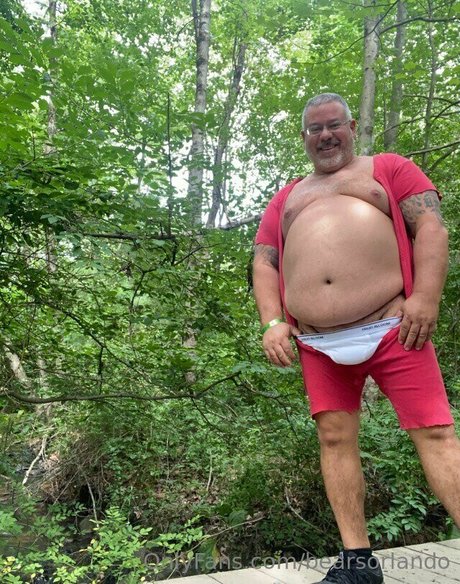 bearsorlando hd star photos