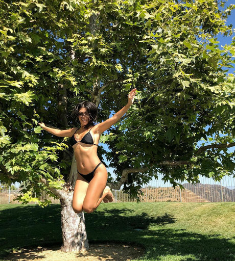 Kourtney Kardashian star pornographic img