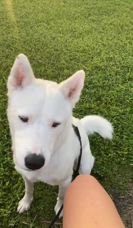 Lily Kawaii exclusive star photo