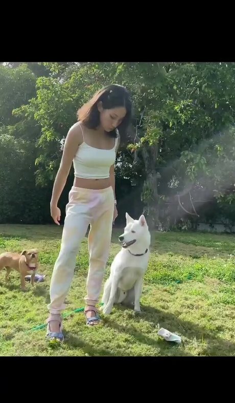 Lily Kawaii star top galleries