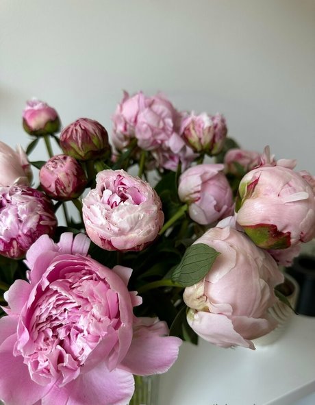 fat girls onlyfans sexy naked img