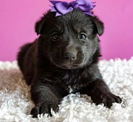 beautiful onlyfans hd picture