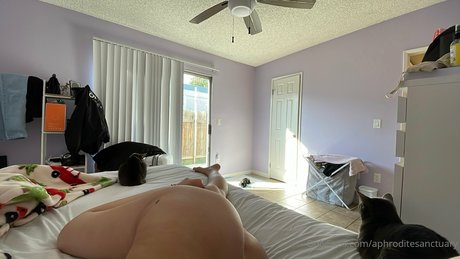 ACJ sex pornstar picture