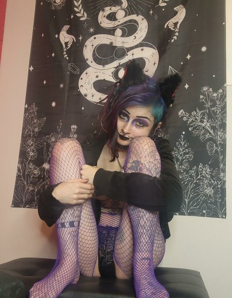 The Lab Rat_ high quality star pictures