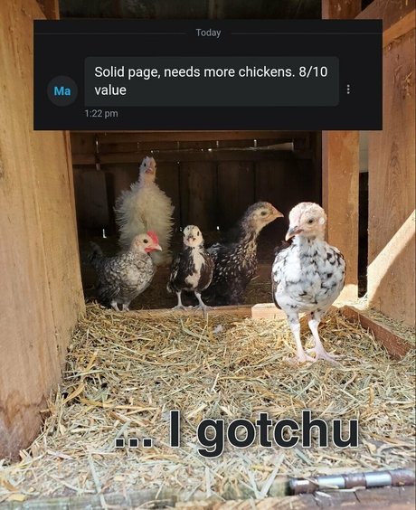 GoddessZoey nice star pics