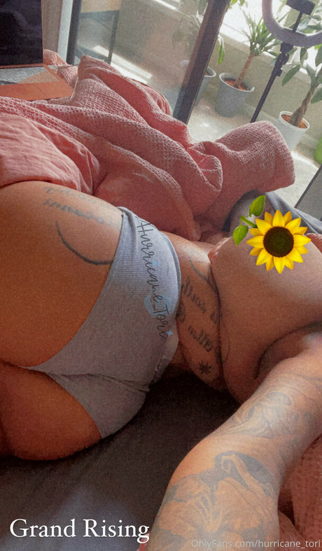 hurricane tori model images