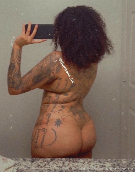 hurricane tori model perfect picture