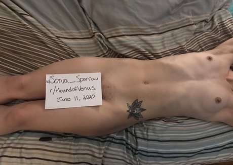 stars onlyfans sexy nudes photos