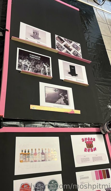 Moshpitmi Photo Gallery