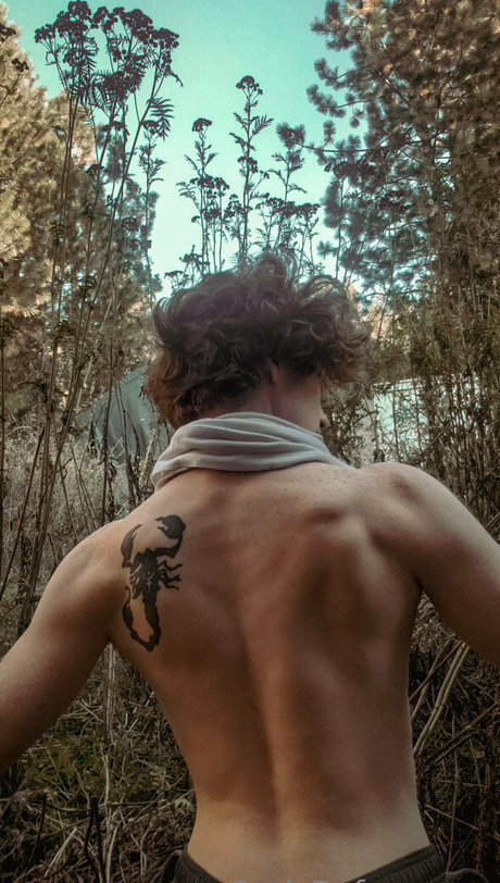 redsreferences star best pics