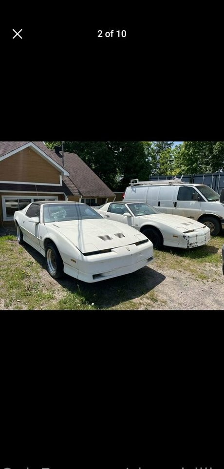 farm onlyfans sexy naked img