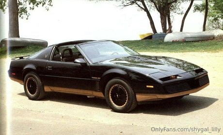 Shygal lilly star beautiful picture