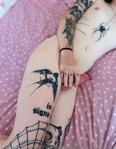 siouxsie steele nice star galleries