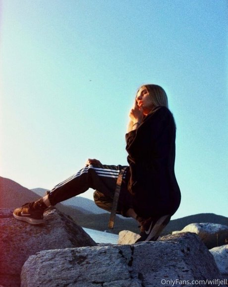 wilfjell model top photo