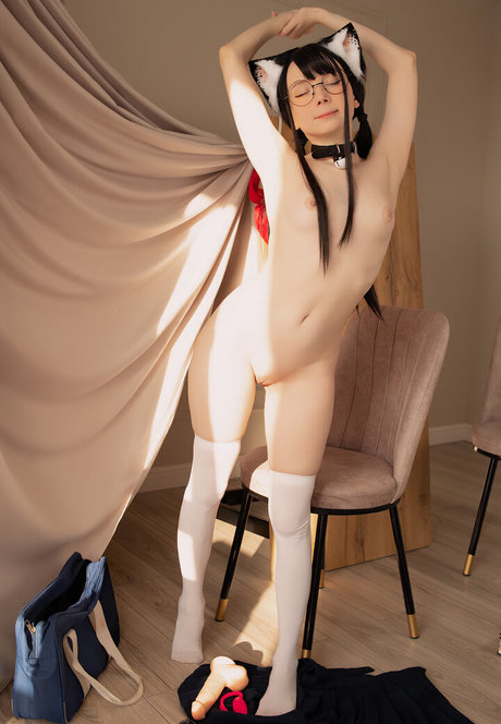 Tanuki tyan Profile Photo