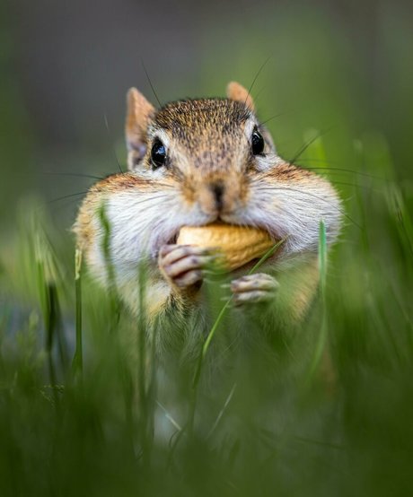 fatsackfails pretty pornstar pics