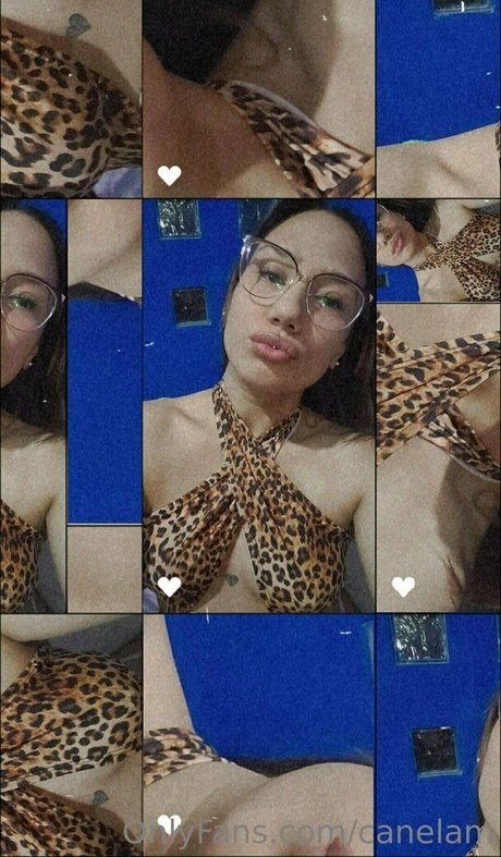 canelam model xxx photo