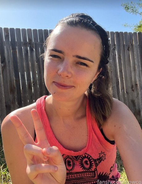 Lowco perfect star picture