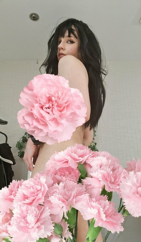 lotjeof art actress pictures