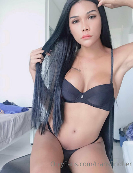 transfindher Photo Gallery