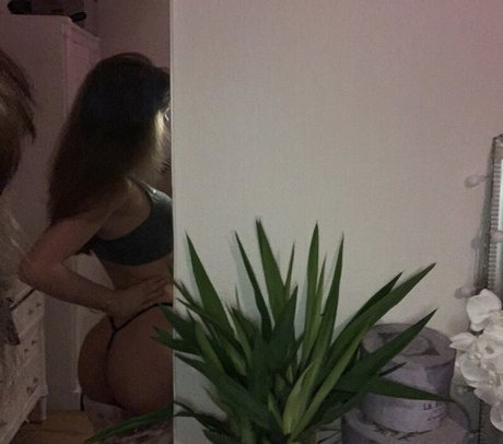 Desiluted pornographic star archive