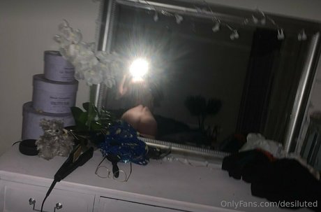 Desiluted model free galleries