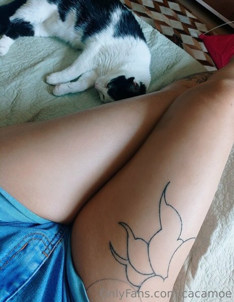 cacamoe star perfect photo