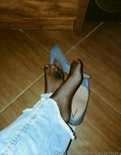 cacamoe star galleries